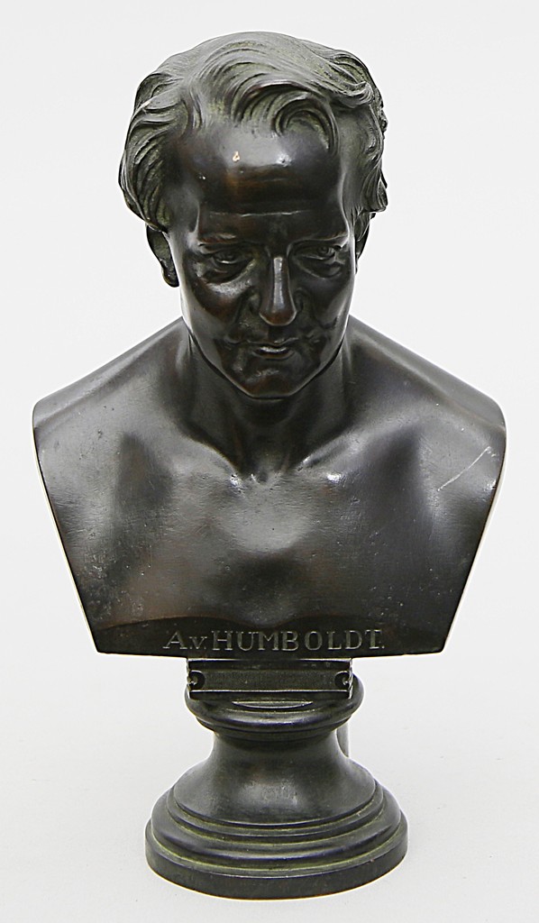 Büste Alexander von Humboldts (1769 Berlin 1859)